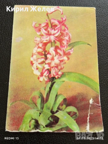 Старо календарче 86г. от соца рядко за КОЛЕКЦИЯ ДЕКОРАЦИЯ 26806