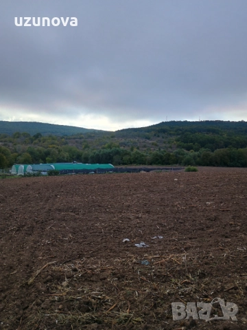 Продава 5.000 дка. Осеново, снимка 5 - Парцели - 46286267