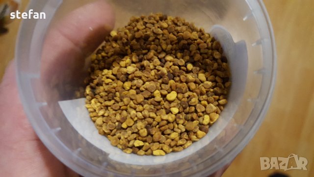 Прашец от търтии - естествен афродизиак МНОГО МОЩЕН!!!