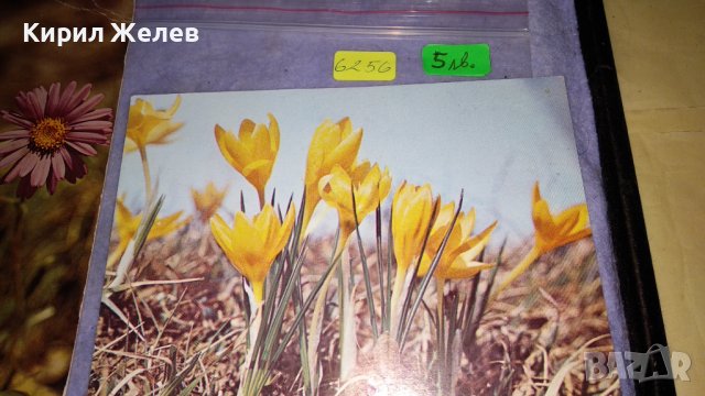 ЛОТ 4 КРАСИВИ СТАРИ ПОЩЕНСКИ КАРТИЧКИ ТЕМА ЦВЕТЯ ПРОЛЕТ БЪЛГАРСКИ и СССР 6256, снимка 2 - Филателия - 38810696
