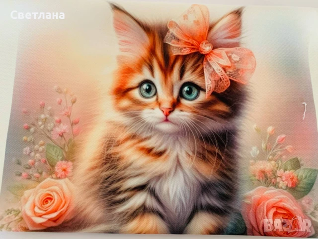 Текстилни папки за учебници и документи, снимка 7 - Други - 50933396