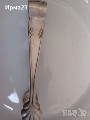 Мелхиорова щипка за лед, снимка 1