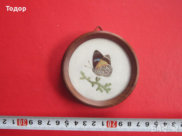 Бразилска арт картина пеперуда 1