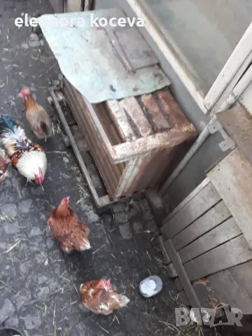 Железен контейнер