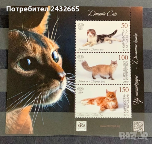789. Киргизстан 2019 - “ Фауна. Домашни котки. ”, **, MNH