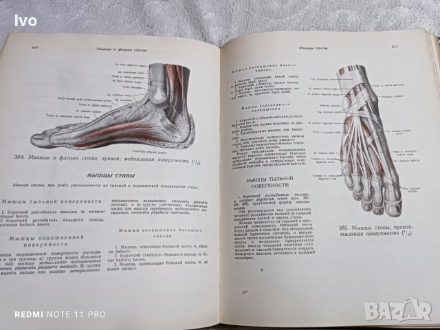 Anatomichen atlas senelnikov, снимка 1 - Антикварни и старинни предмети - 40853587