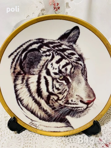 порцеланова чиния за стена , снимка 2 - Декорация за дома - 51183933