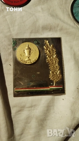 медал от състезания, снимка 5 - Фен артикули - 51973136