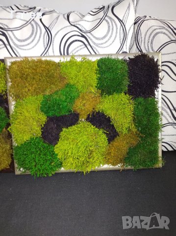 Жива картина от стабилизиран мъх, снимка 17 - Картини - 39416659