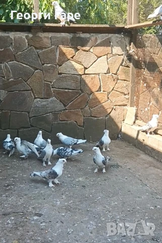 Ориенталски сатинети - класика