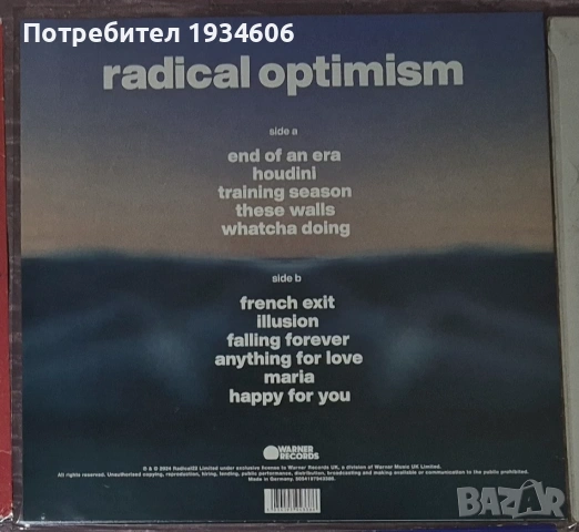 Оригинални CD, DVD дискове и грамофонни плочи., снимка 6 - Грамофонни плочи - 28108971