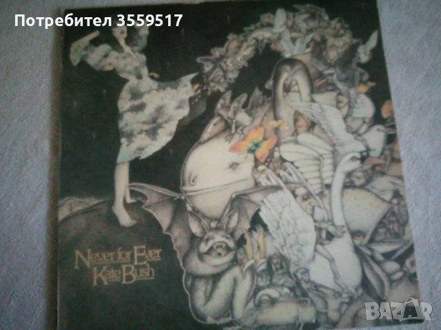 грамофонни плочи, снимка 14 - Грамофонни плочи - 49771476