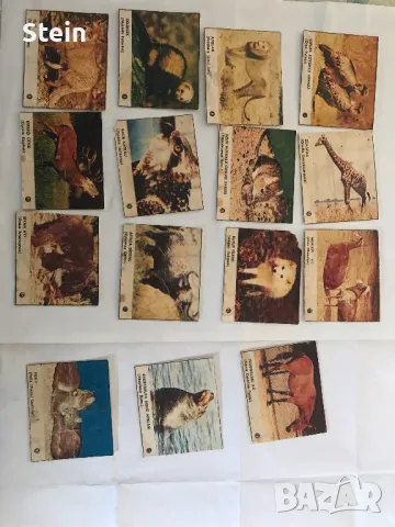 Карти Shampion (blue) Akas, снимка 4 - Колекции - 49487170