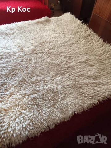 вълнен китеник