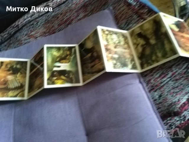 Леденика албумче 12 фотоса от соца 1977г. 105х77мм, снимка 5 - Колекции - 43908074