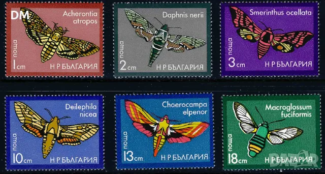 България 1975 - пеперуди MNH, снимка 1 - Филателия - 48342574