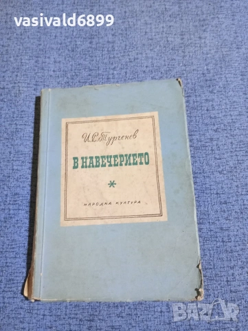 Тургенев - В навечерието 