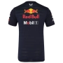 Red Bull Racing F1 Team Set Up T-Shirt - Оригинална мъжка тениска, снимка 3