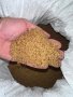 продавам семена люцерна ПРИСТА 3 почистено готово за сеитба 12 лв кг 