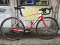 TREK DOMANE, снимка 1