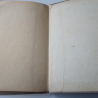 Стара книга "Домашна аптека " 1899г., снимка 4 - Антикварни и старинни предмети - 28671444