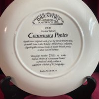 Колекционерски порцеланови чинии за стена -DOVENPORT -England, снимка 5 - Антикварни и старинни предмети - 44117144