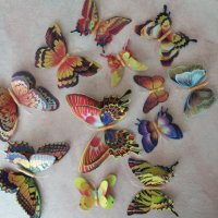 3D пеперуди за декорация с двойни крила СВЕТЕЩИ, снимка 17 - Декорация за дома - 25424987