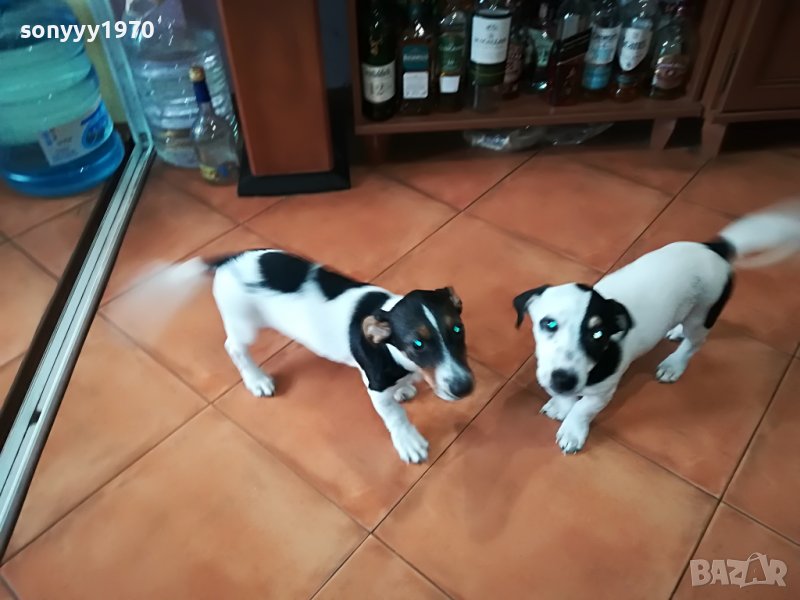 сладурана ДЖАК ЖЕНСКО НА 11 МЕСЕЦА 350ЛВ  1905221052, снимка 1