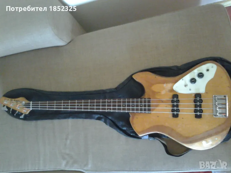 bass, снимка 1