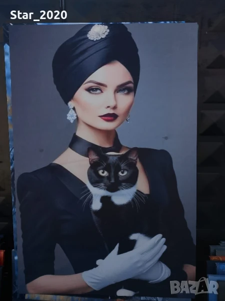 Светеща картина с LED осветление -жена и котка , снимка 1