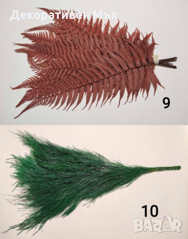 Стабилизирани естествени растения и листа - декорация, украса, арт., снимка 12 - Декорация за дома - 31836958