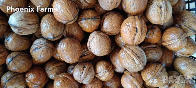 Шипки, Билков пчелен Мед, Боров прашец, коприва, пелин, снимка 3 - Домашни продукти - 50332840