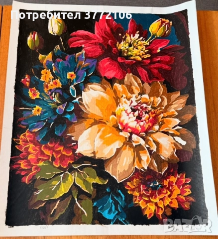 Рисувани картини по номера, снимка 4 - Картини - 52503517
