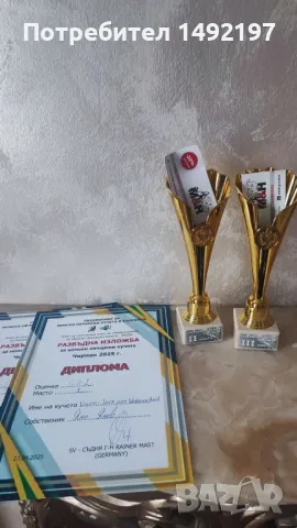 малки немски овчарки , снимка 8 - Немска овчарка - 50062180