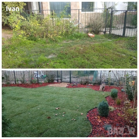 озеленяване , снимка 2 - Други услуги - 52066434