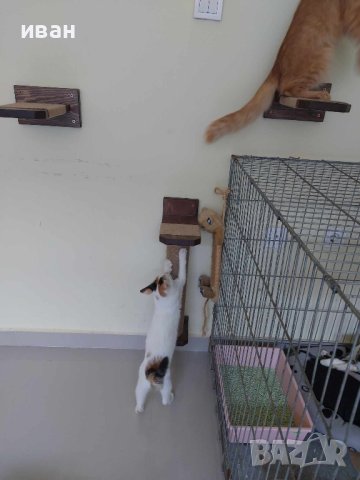 Драскалка за котка на стена , снимка 7 - За котки - 42967634