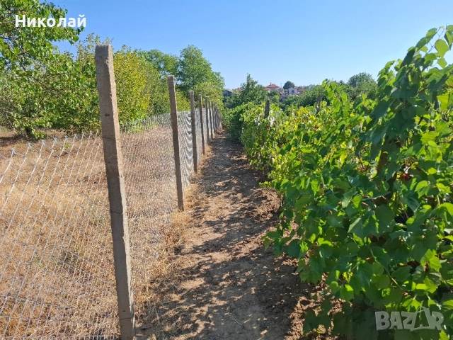 Имот в с. Калипетрово 1194 кв.м., снимка 13 - Парцели - 51746563