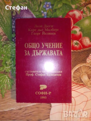 Общо учение за държавата, Леон Дюги, Каре дьо Малберг, Георг Йелинек, снимка 2 - Специализирана литература - 43291739