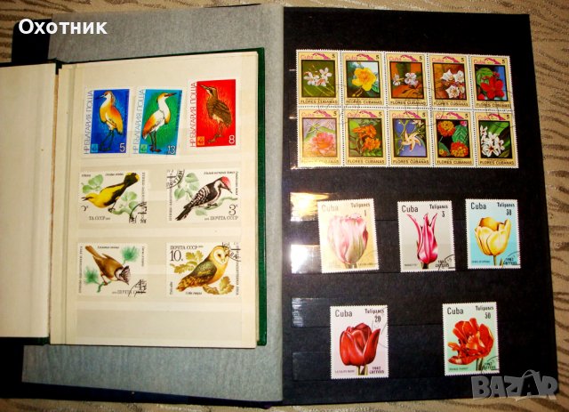 Марки пощенски , снимка 13 - Филателия - 37004520