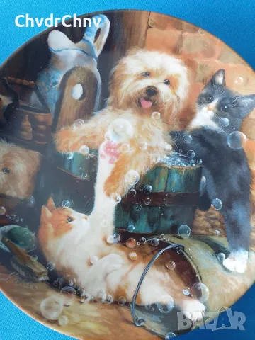 9бр Seltmann/ЗЕЛТМАН Бавария немска колекционерска декоративна порцеланова чиния-картина/животни, снимка 9 - Картини - 48371239