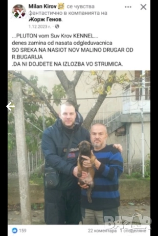 Белгийска Овчарка-Малиноа , снимка 2 - Белгийска овчарка - 52299797