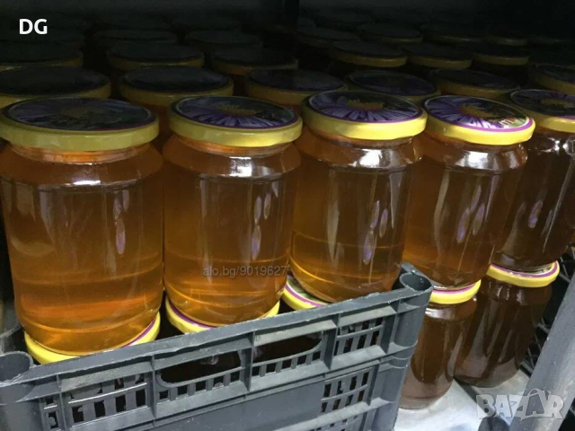 Домашен пчелен мед от производител, снимка 3 - За пчели - 44853660
