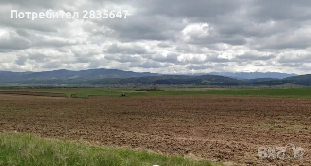 Парцел-нива!, снимка 4 - Земеделска земя - 50006219