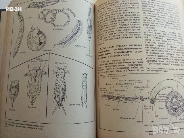 Наука о жизни - Р.Д.Аллен - 1981г., снимка 3 - Специализирана литература - 36836792
