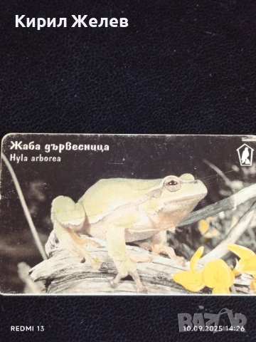 Три фонокарти тема ЖИВОТНИ ТАРАЛЕЖ, БУХАЛ,ЖАБА за КОЛЕКЦИЯ 42295, снимка 3 - Колекции - 51666463