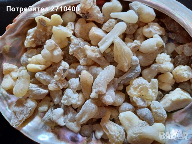 Тамян.Фаворитът.От Оман.Босвелия сакра.Арабски тамян Ходжари От Дофар, снимка 8 - Други - 37083493