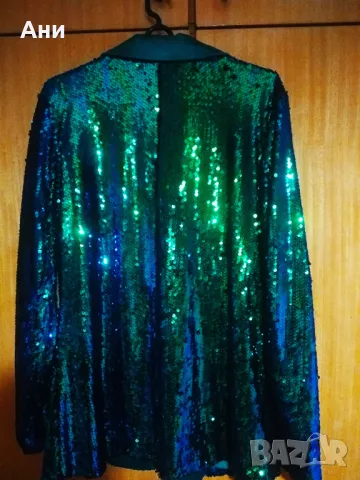 Сако - Хамелеон, снимка 3 - Сака - 48524268