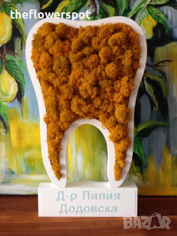 Подарък - За зъболекар и зъботехник - зъб със скандинавски мъх, снимка 6 - Други - 40661965