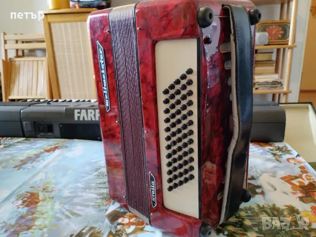 Акордеон Велтмайстер Стела 60баса, снимка 5 - Акордеони - 47322118