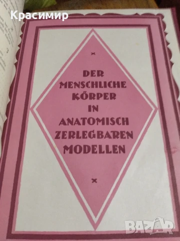 Семеен Лекар .1926 г.д-р мед.Бела Мюлер., снимка 9 - Антикварни и старинни предмети - 51139029